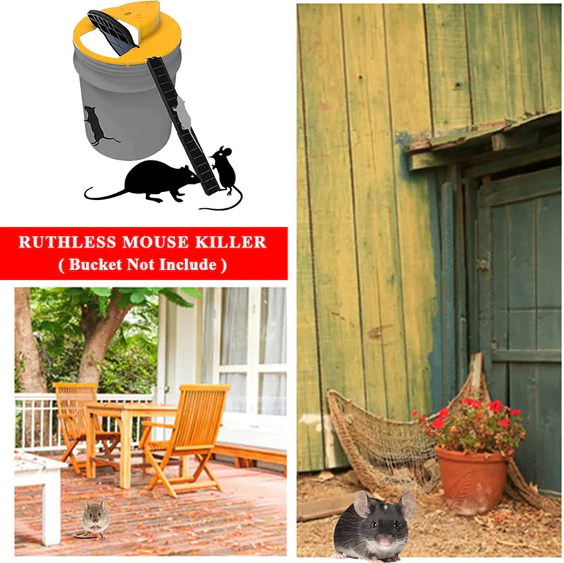 Flip & Slide Mouse Trap Lid – Humane & Auto-Reset Design