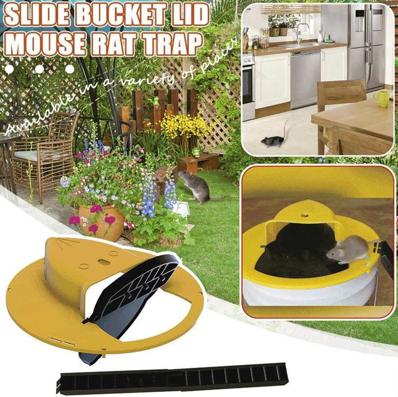 Flip & Slide Mouse Trap Lid – Humane & Auto-Reset Design