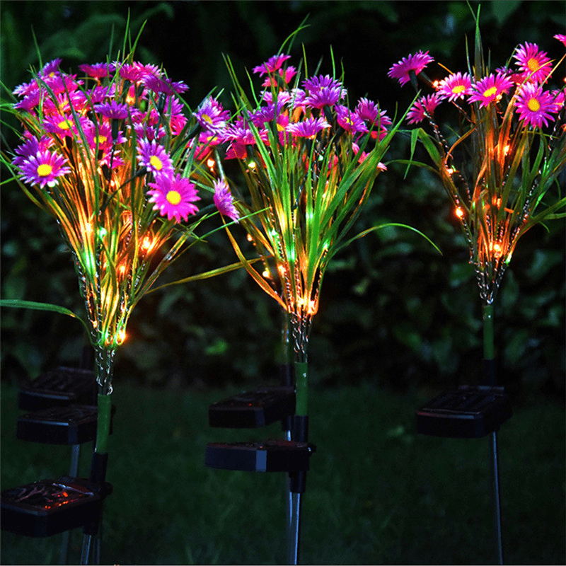 {{ product_name }} β {{ product_type }} β Eliosun Home Decor