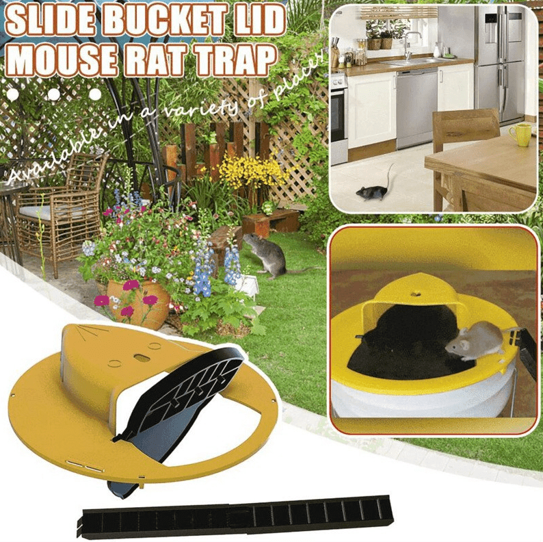{{ product_name }} β {{ product_type }} β Eliosun Home Decor