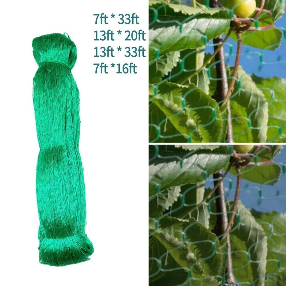 {{ product_name }} β {{ product_type }} β Eliosun Home Decor