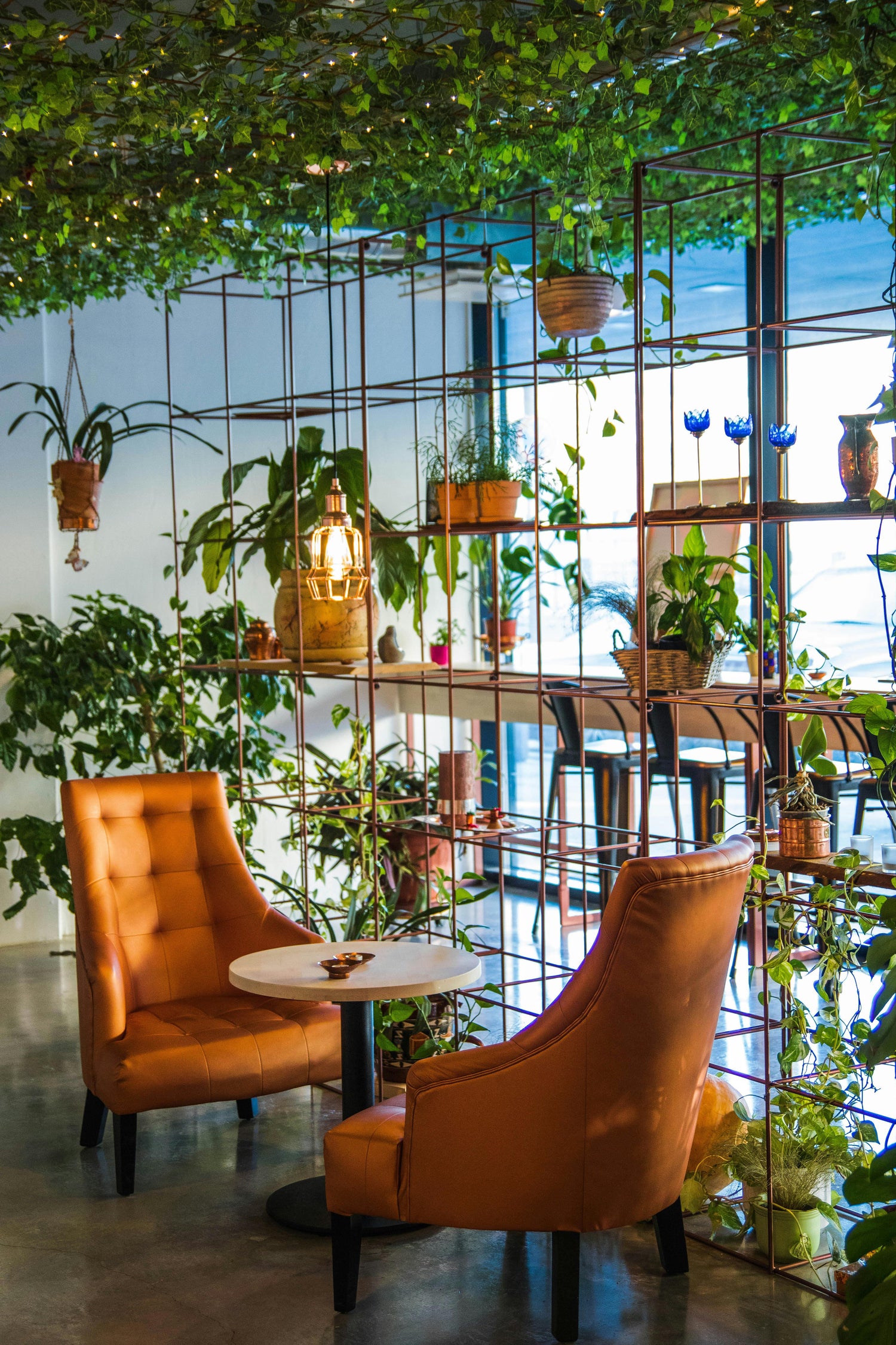 Garden Decor & Outdoor Essentials