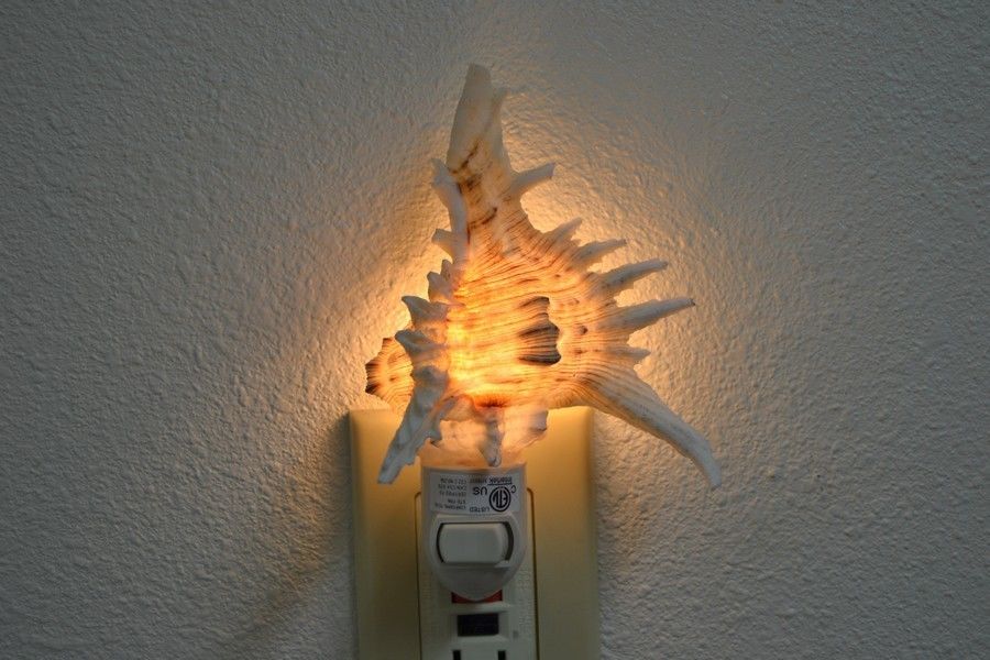 Brown Murex Shell Nightlight – Handcrafted Ocean - Inspired Luxury Lighting – Lighting – Eliosun Home Decor