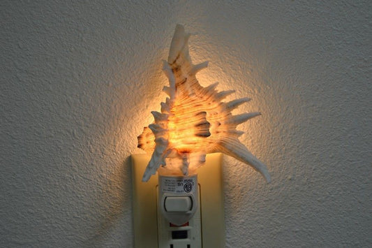 Brown Murex Shell Nightlight – Handcrafted Ocean - Inspired Luxury Lighting – Lighting – Eliosun Home Decor