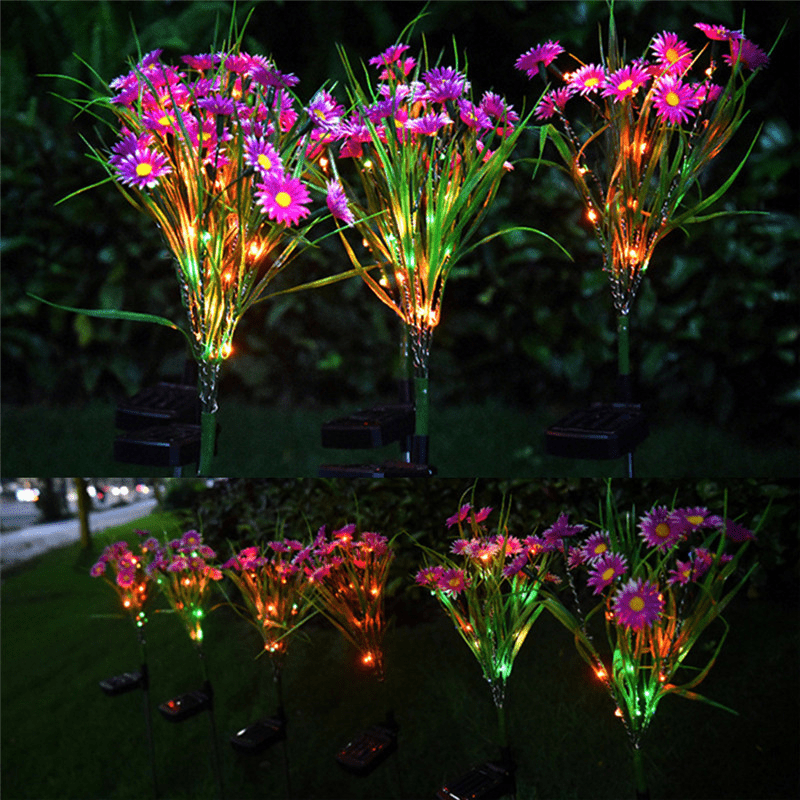 {{ product_name }} – {{ product_type }} – Eliosun Home Decor