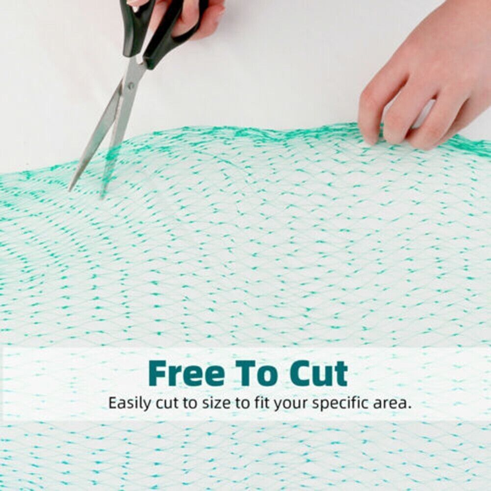 {{ product_name }} – {{ product_type }} – Eliosun Home Decor