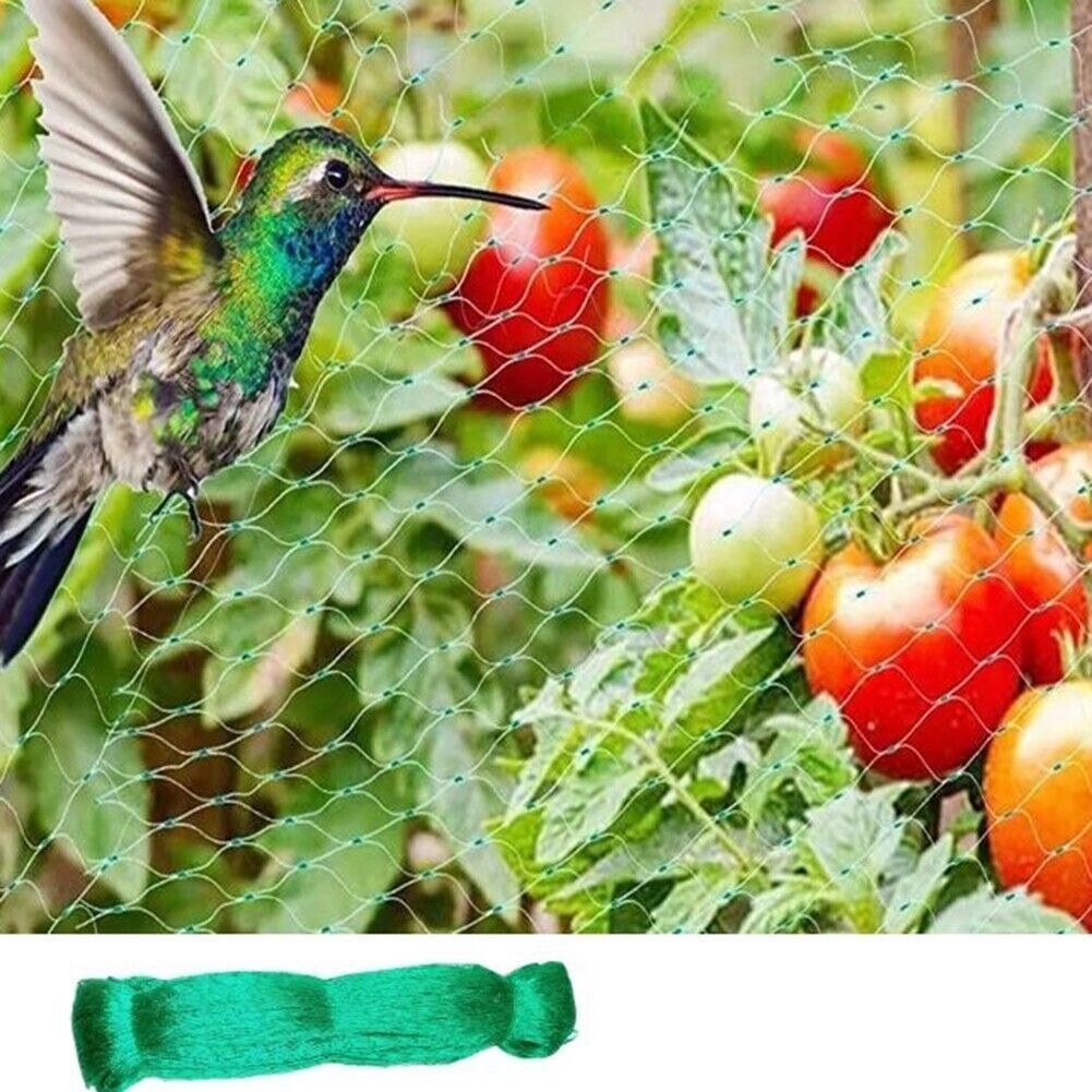 {{ product_name }} – {{ product_type }} – Eliosun Home Decor